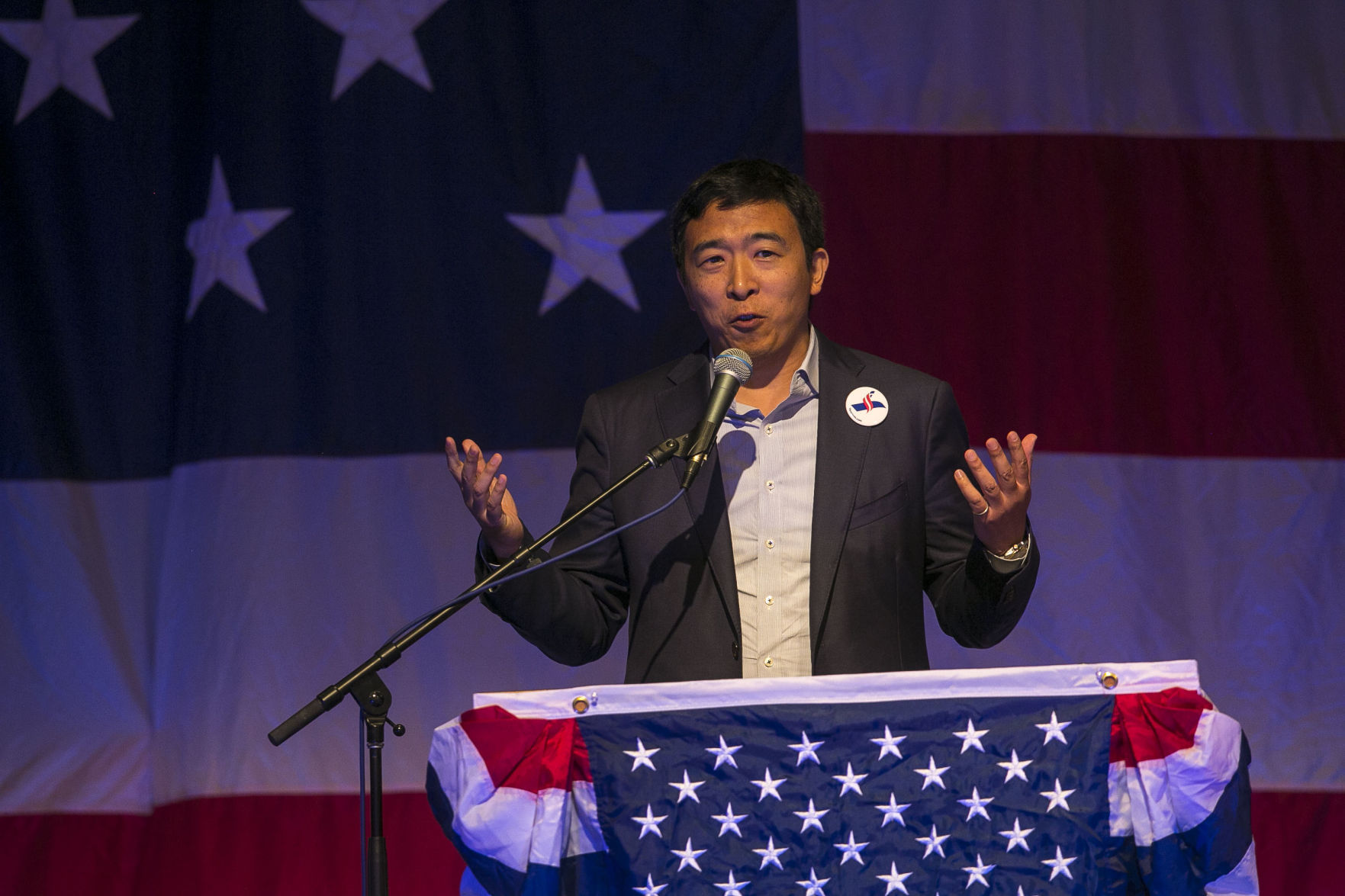 Democratic Wing Ding 4